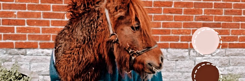 Megaane456's profile banner image