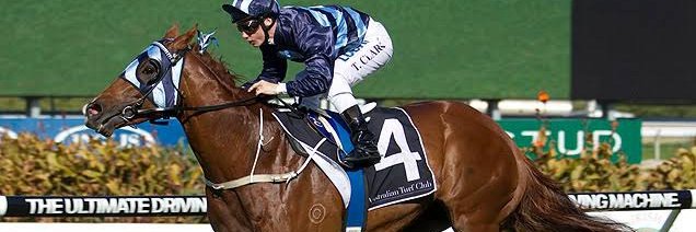 edinglassie.stud banner