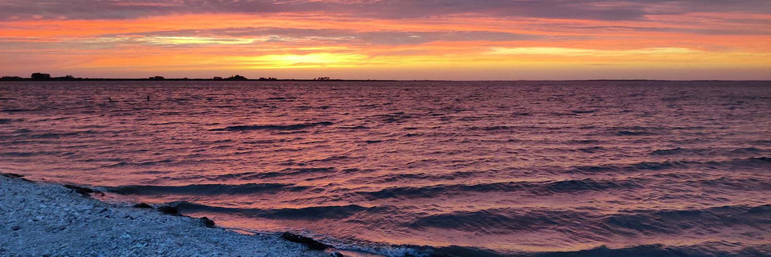 oscaro7's profile banner image