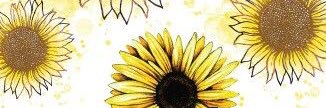 gaede15's profile banner image