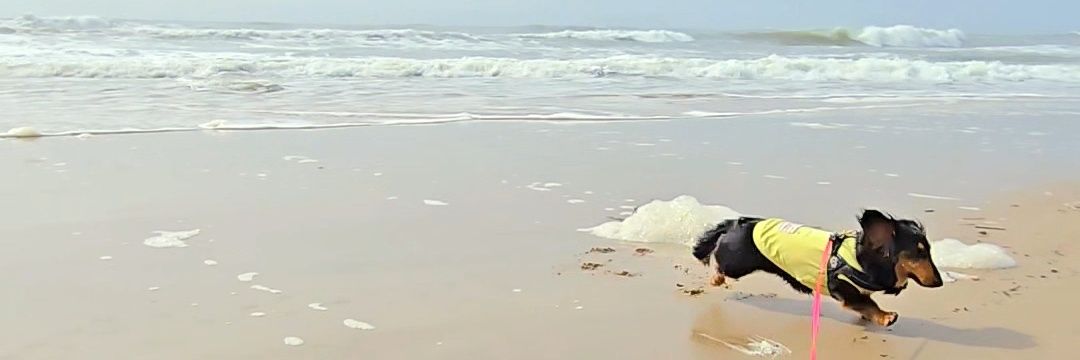 yossy312's profile banner image