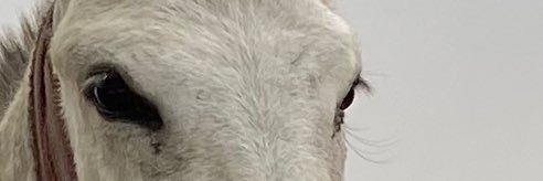 estabiem's profile banner image
