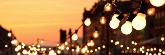 Ellen Leonard banner