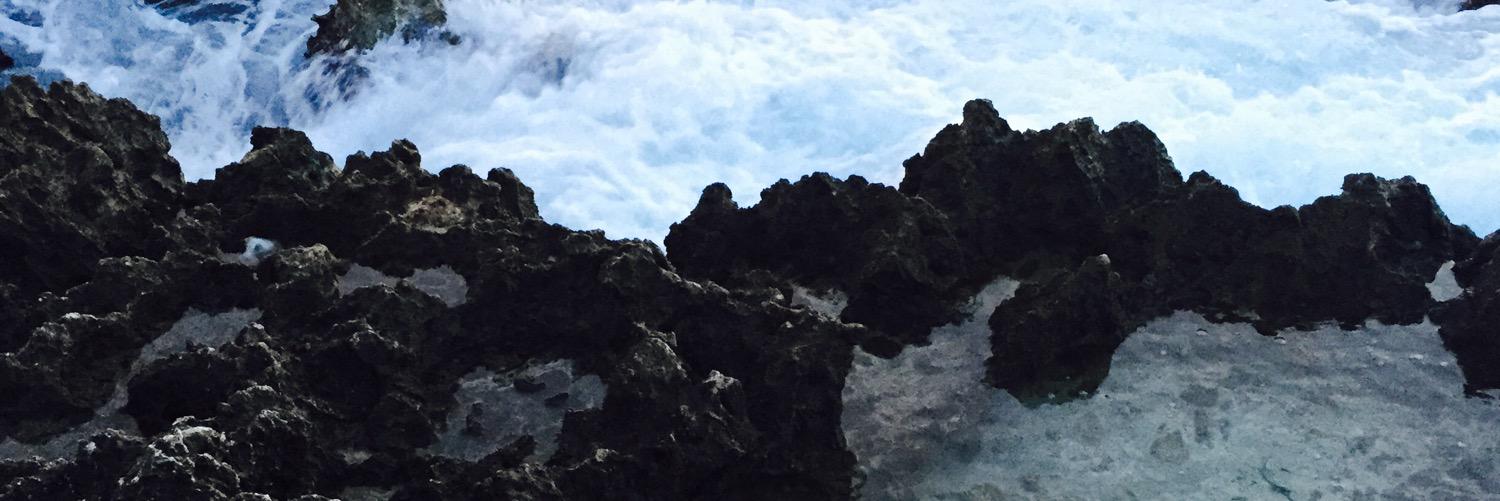 graceparsonss's profile banner image