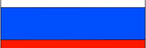 RussianBears100's profile banner image