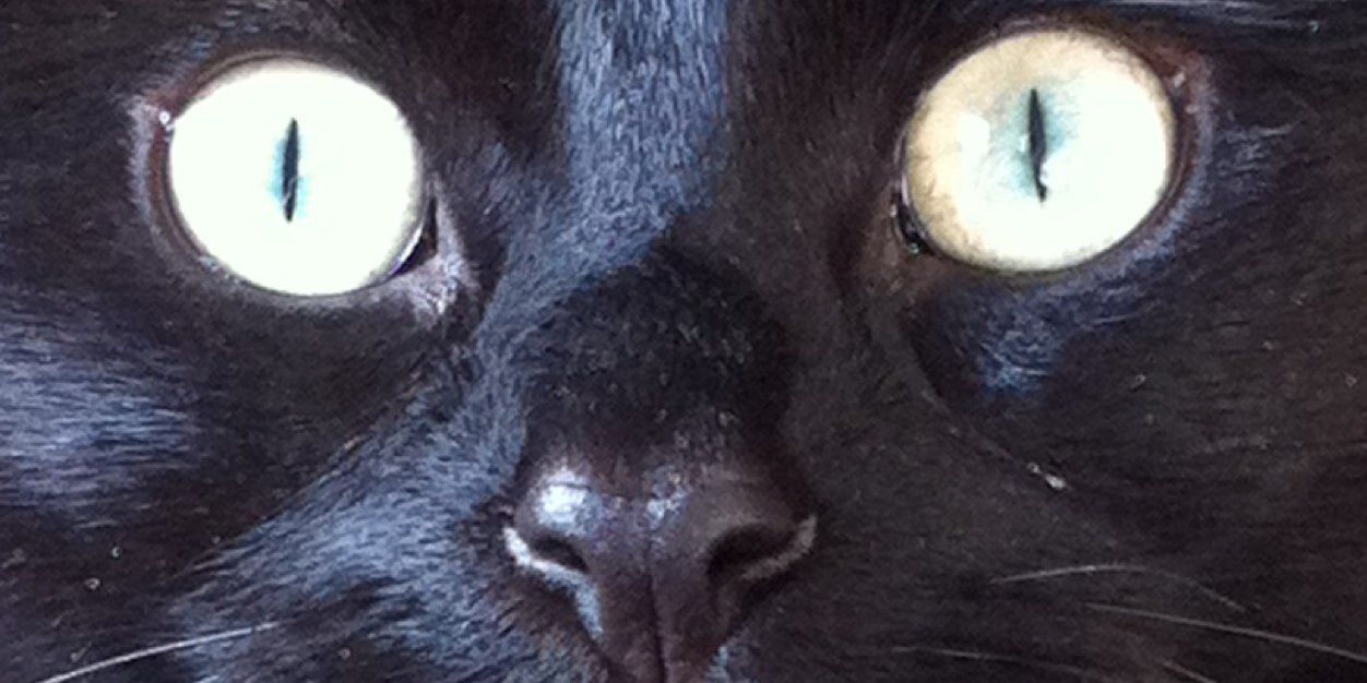AndrewAWR's profile banner image