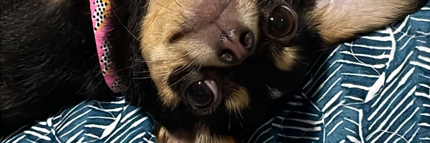 val_rhdz's profile banner image