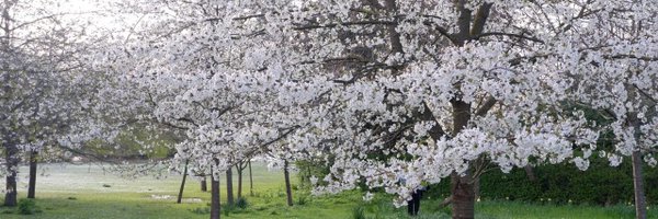 Mary Profile Banner