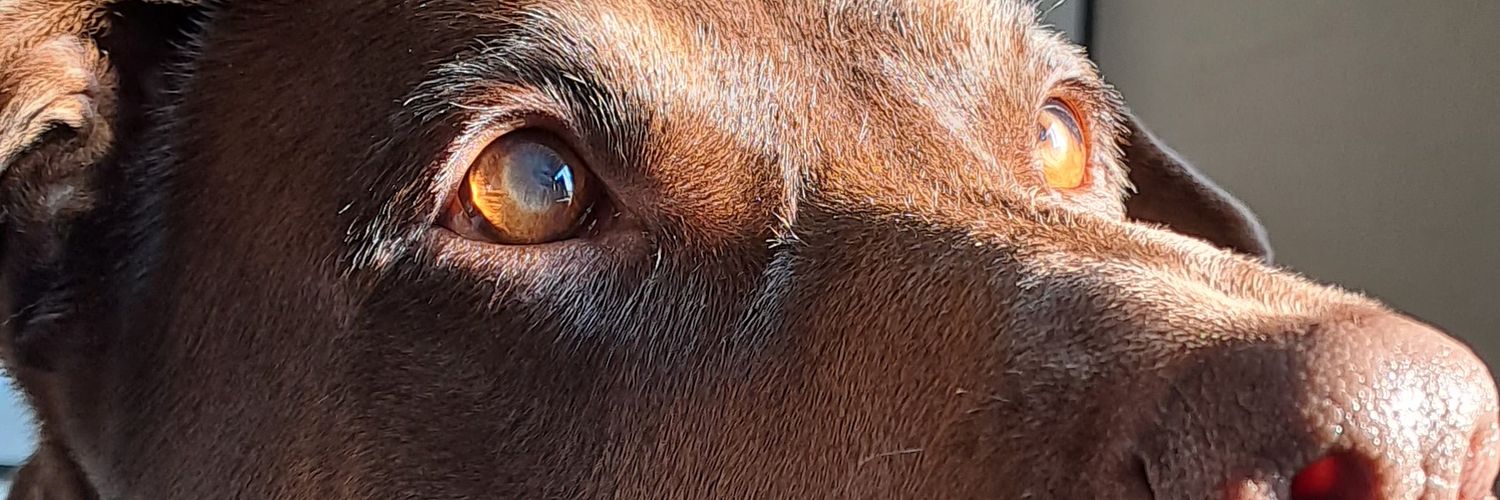 Hernandeeezc's profile banner image
