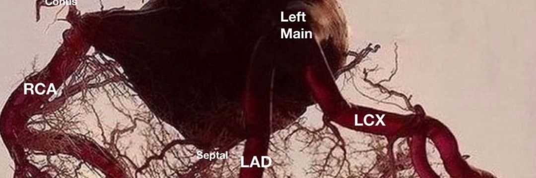 Medical Intern banner