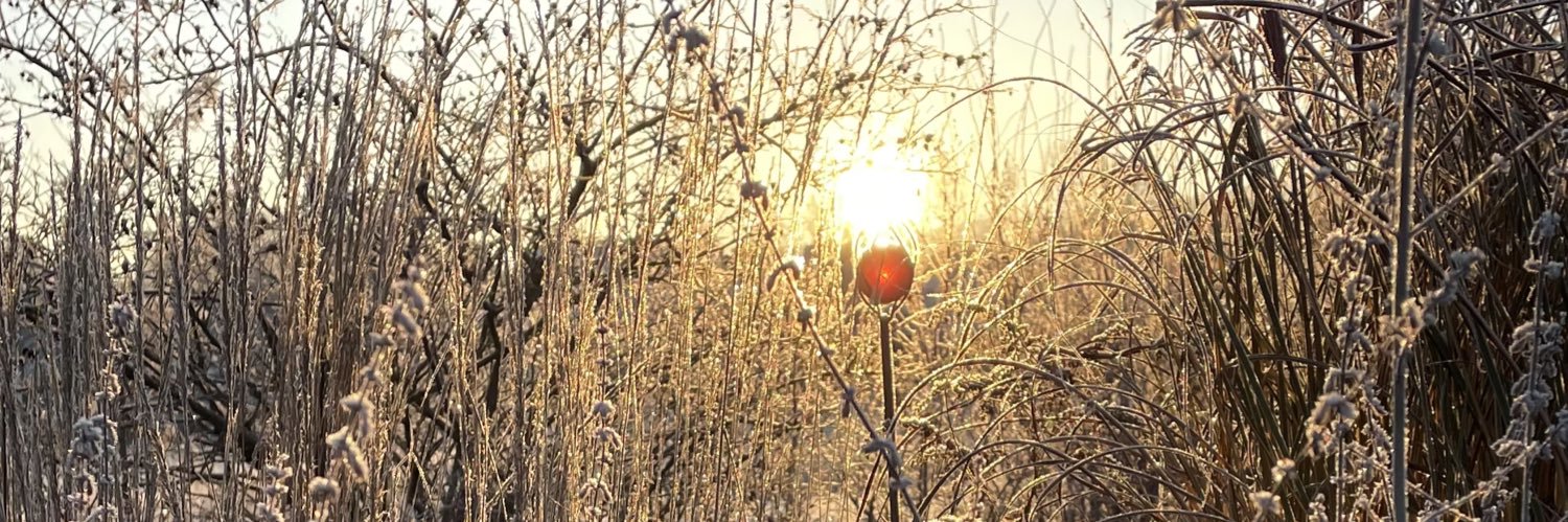 Mario Bögelein banner