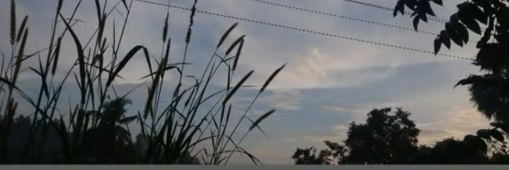 Pearlfio's profile banner image