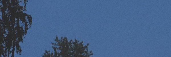 Ханэмия утешит тебя Profile Banner