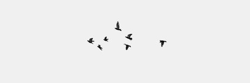 D banner