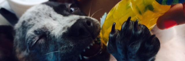 JanineBaylee's profile banner image