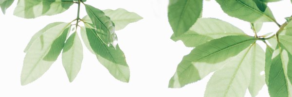 AlisonDoyle Profile Banner