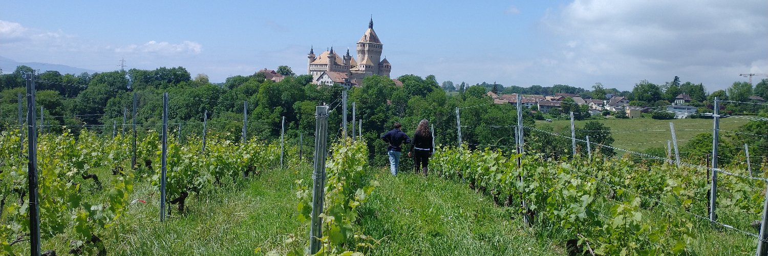 Joëlle Nebbe-Mornod banner