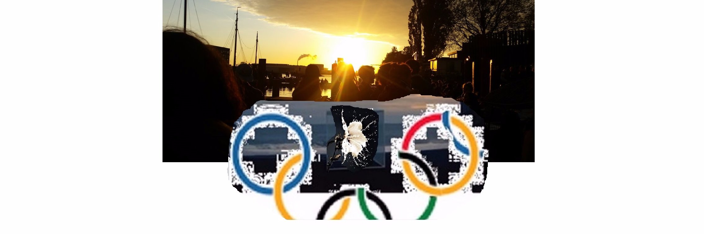 LeeuwWard's profile banner image