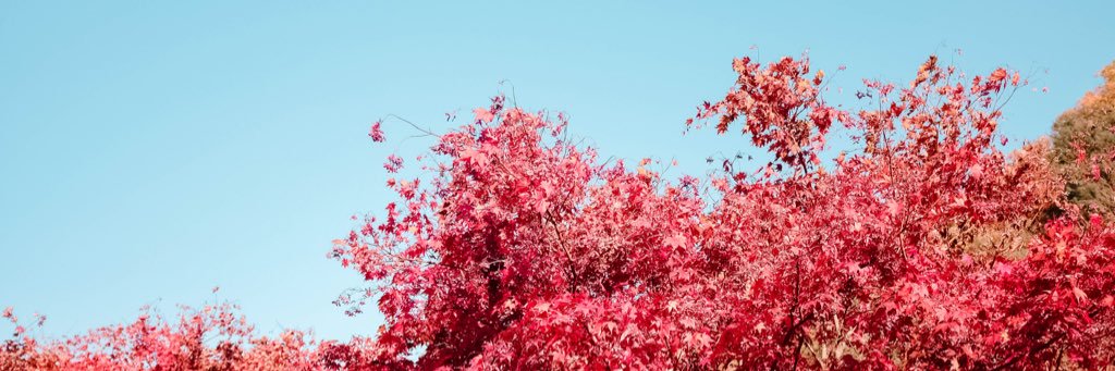 JessaAng's profile banner image