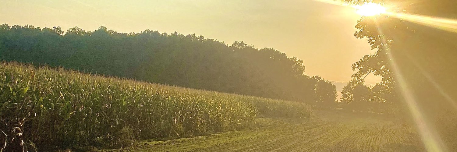 aybirk's profile banner image