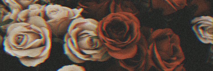 CaarMolina's profile banner image