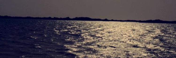 αsмαα ✨ banner