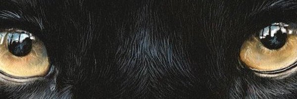 DMarcojackson20 Profile Banner