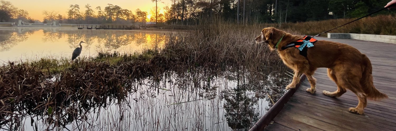 HTXGator's profile banner image