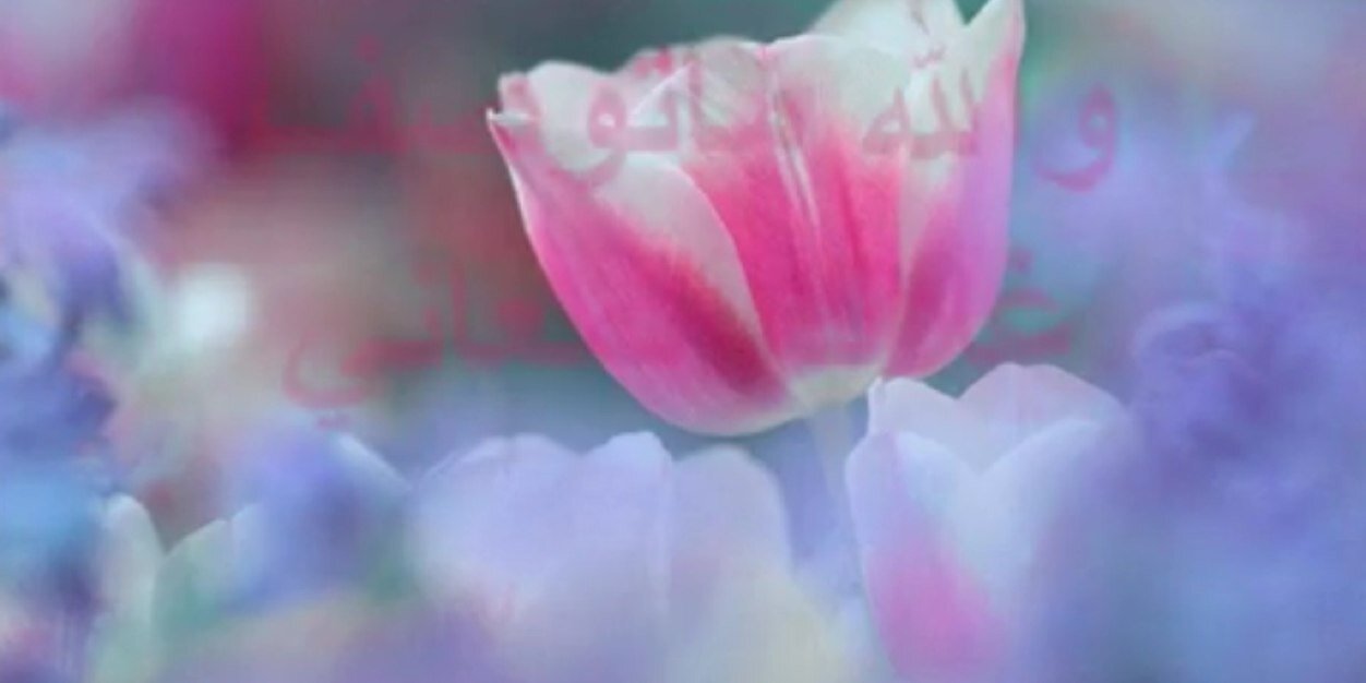 suytg's profile banner image