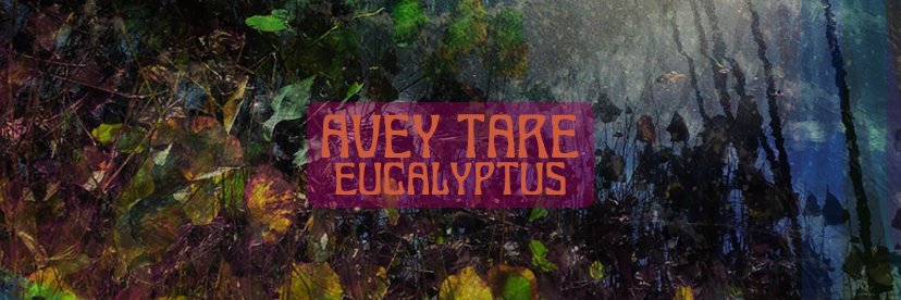 Avey Tare banner