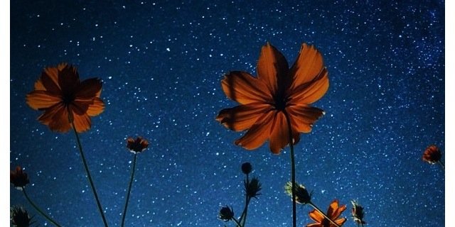 CourtLeighIsMe's profile banner image