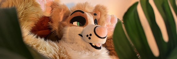 BatterPuppy Profile Banner