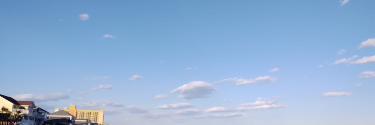 thelostbeers's profile banner image