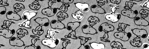_mirrorbelle Profile Banner