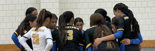 LadyfalconV Profile Banner