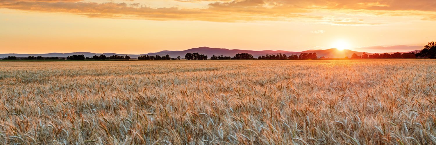 FARMFLIP's profile banner image