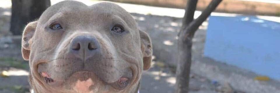 LautiCastillo4's profile banner image