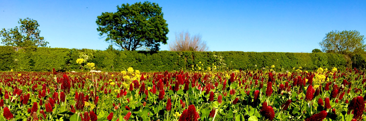 Sandy Lane Farm banner
