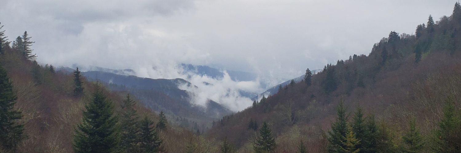 Switaker8's profile banner image