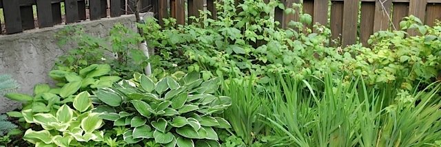 CWestAtHome's profile banner image