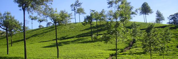 rameshkMT Profile Banner