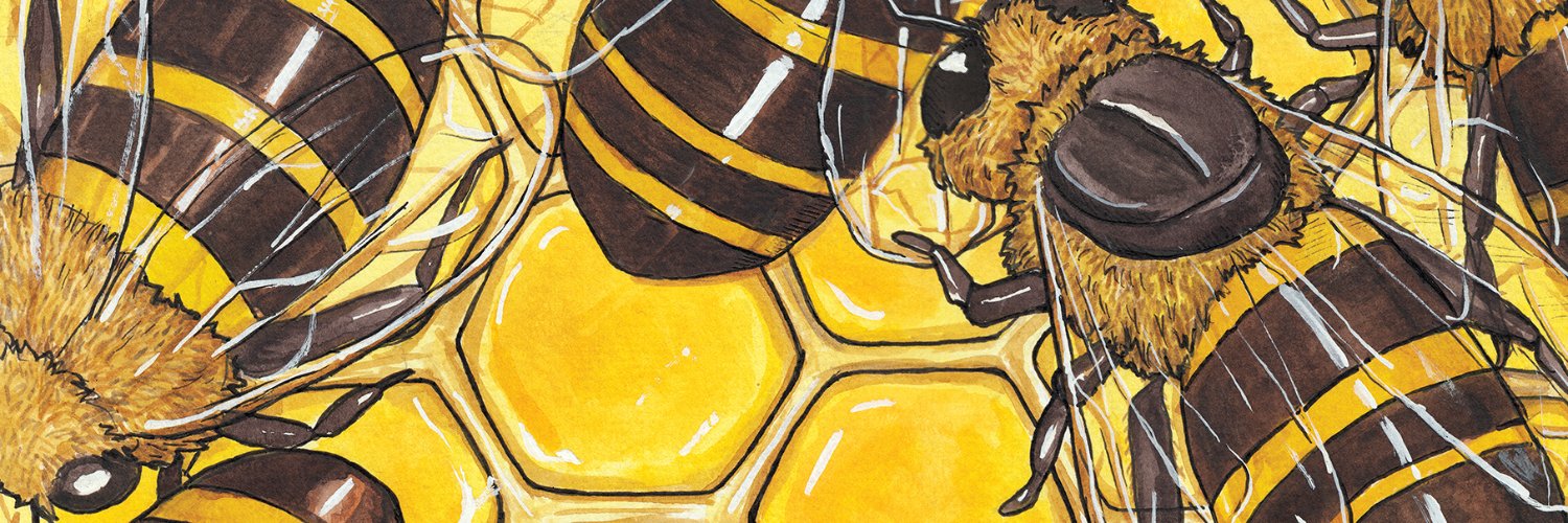 idrawbears's profile banner image