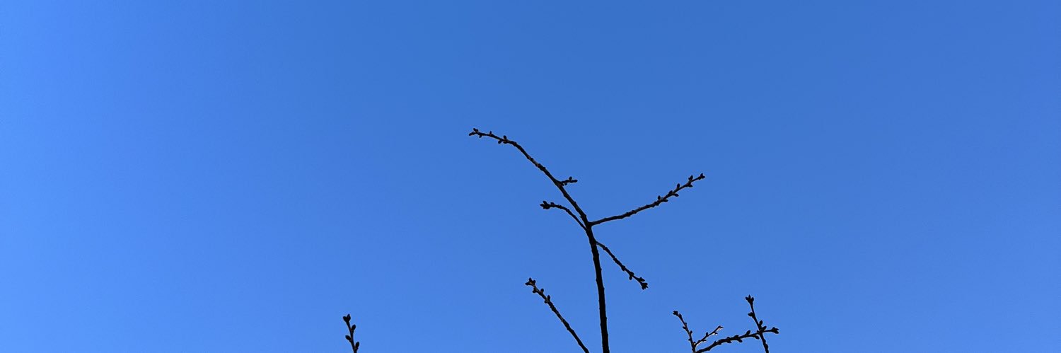 Christophe AMALRIC banner