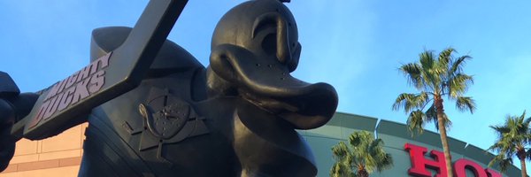 WildWingNHL Profile Banner