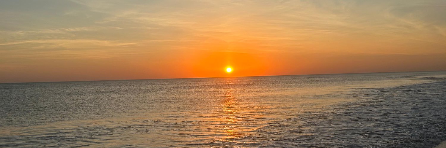 fioredicroce's profile banner image