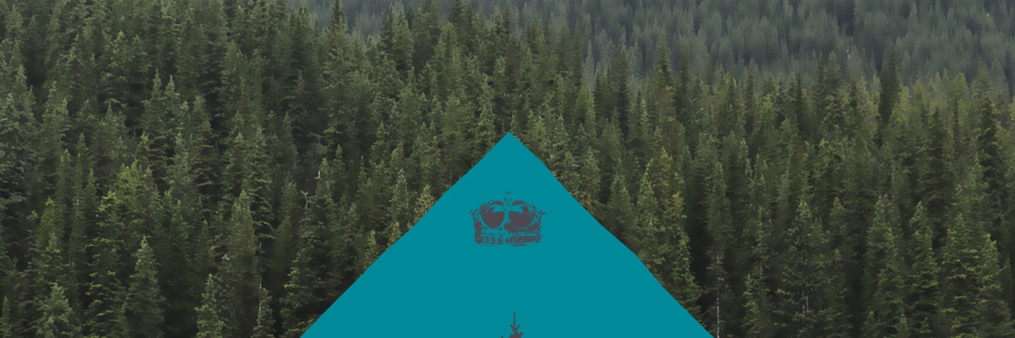 P . V . M . G banner