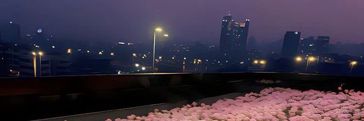 Trish💋 banner