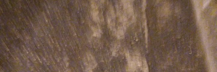 THeFloppaAA's profile banner image