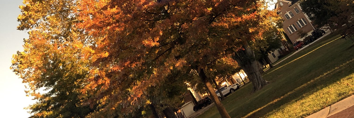VinnyBayBee's profile banner image