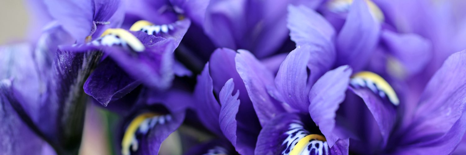 clevelanddotcom banner